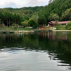 ルアー＆フライで楽しめました